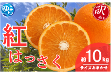 ＼来シーズン先行予約／【訳あり】和歌山県産 紅はっさく（サイズおまかせ）約10kg【2026年2月中旬～順次発送予定】※北海道・沖縄・離島配送不可 / 八朔 ハッサク 柑橘 由良町 柑橘 果物 フルーツ くだもの 産地直送 和歌山【eiw024】