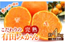 早期先行予約！ こだわりの有田みかん 約4kg＋250g(傷み補償分) 【ご家庭用】【12月発送】 光センサー選別品 農家直送品 ※北海道・沖縄・離島配送不可 / みかん 有田みかん 温州みかん 柑橘 果物 くだもの フルーツ 有田 和歌山 和歌山県産 産地直送 【nuk148-12A】 