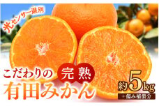 早期先行予約！  こだわりの有田みかん 約5kg＋250g(傷み補償分) 【ご家庭用】【11月発送】 光センサー選別品 農家直送品 ※北海道・沖縄・離島配送不可 / みかん 有田みかん 温州みかん 柑橘 果物 くだもの フルーツ 有田 和歌山 和歌山県産 産地直送 【nuk160-11】 