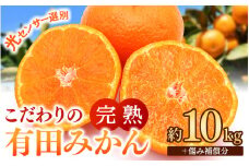 早期先行予約！  こだわりの有田みかん 約10kg＋250g(傷み補償分) 【ご家庭用】【11月発送】 光センサー選別品 農家直送品 ※北海道・沖縄・離島配送不可 / みかん 有田みかん 温州みかん 柑橘 果物 くだもの フルーツ 有田 和歌山 和歌山県産 産地直送 【nuk101-11】 