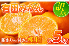 【訳あり】農家直送 有田みかん 約5kg ご家庭用 サイズ混合 ※2025年11月中旬より順次発送予定（お届け日指定不可）※北海道・沖縄・離島への配送不可 訳ありみかん みかん ミカン 蜜柑 柑橘 フルーツ 果物 くだもの 温州みかんサイズ混合 訳ありみかん 温州みかん 有機質肥料100% ふるさと納税 柑橘 有田 産地直送【nuk161B】 