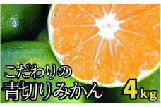 【2025年秋頃発送予約分】こだわりの青切りみかん　約4kg 有機質肥料100%　 サイズ混合　※2025年9月下旬より順次発送予定（お届け日指定不可）/  みかん 和歌山県 柑橘 ミカン 甘い 蜜柑 フルーツ 果物 くだもの 食品 送料無料 産地直送 【nuk142B】 