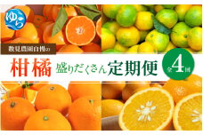 【定期便全4回】数見農園自慢の柑橘盛りだくさん定期便　/ 果物 柑橘 由良町  フルーツ くだもの 産地直送 和歌山 詰め合わせ mikan 柑橘 数量限定 ゆら早生 ゆら早生みかん ゆらみかん 温州みかん 清見 きよみ 清見オレンジ さつき八朔 4kg おれんじ 八朔 さつき八朔　【kzmn-tkb001】