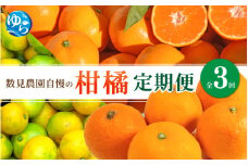 【定期便全3回】数見農園自慢の柑橘定期便 /  果物 柑橘 由良町 フルーツ くだもの 産地直送 和歌山 数量限定 ミカン ゆら早生 ゆら早生みかん ゆらみかん 温州みかん きよみ 清見オレンジ 4kg オレンジ【kzmn-tkb002】