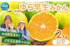 ゆら早生みかん 2kg ※2025年10月中旬～10月下旬順次発送農家直送 / 柑橘 和歌山県 由良町 極早生 早生 早生みかん 柑橘 甘い 完熟 密柑 人気 おすすめ くだもの 果物 フルーツ  農家直送 産地直送【nktn017-sp】
