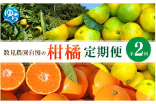 【定期便全2回】みかん  ≪数見農園自慢の柑橘定期便≫ / 定期便 果物 柑橘 由良町 フルーツ くだもの 産地直送 数量限定 ミカン ゆら早生 ゆら早生みかん ゆらみかん 温州みかん 和歌山【kzmn-tkb003】