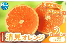 【来シーズン 先行予約】≪家庭用≫ 清見オレンジ 約2kg ※2026年3月上旬～順次発送 農家直送 / くだもの  果実  柑橘 果物 フルーツ 国産 和歌山県 由良町 清見  人気 おすすめ 和歌山 甘い きよみ 清見おれんじ 訳あり 家庭用 【nktn022】