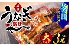 　【父の日】大型サイズ ふっくら柔らか国産うなぎ蒲焼き ３尾 / ウナギ 鰻 うなぎ蒲焼 ひつまぶし うな丼 うな重 国産 プレゼント 贈答 父の日【uot303A-pp】