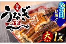 　【父の日】大型サイズふっくら柔らか国産うなぎ蒲焼き1尾 約2人前 化粧箱入 / ウナギ 鰻 うなぎ蒲焼 ひつまぶし うな丼 うな重 国産 プレゼント 贈答 父の日【uot714A-pp】