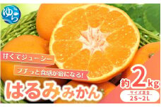 【来シーズン先行予約】農家直送  はるみみかん 約2kg S～4Lサイズ混合 ※2026年2月上旬～順次発送農家直送 / くだもの  果実  柑橘 果物 フルーツ 国産 和歌山県 由良町 ご家庭用 人気 おすすめ【nktn018】