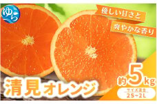 【来シーズン 先行予約】清見オレンジ 約5kg ※2026年3月上旬～順次発送 農家直送 / くだもの  果実  柑橘 果物 フルーツ 国産 和歌山県 由良町 清見  人気 おすすめ 和歌山 甘い きよみ 清見おれんじ 【nktn020】