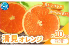 【来シーズン 先行予約】清見オレンジ 約10kg ※2026年3月上旬～順次発送 農家直送 / くだもの  果実  柑橘 果物 フルーツ 国産 和歌山県 由良町 清見  人気 おすすめ 和歌山 甘い きよみ 清見おれんじ 【nktn021】