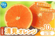 【来シーズン 先行予約】≪家庭用≫ 清見オレンジ 約10kg ※2026年3月上旬～順次発送 農家直送 / くだもの  果実  柑橘 果物 フルーツ 国産 和歌山県 由良町 清見  人気 おすすめ 和歌山 甘い きよみ 清見おれんじ 訳あり 家庭用 【nktn024】