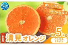 【来シーズン 先行予約】≪家庭用≫ 清見オレンジ 約5kg ※2026年3月上旬～順次発送 農家直送 / くだもの  果実  柑橘 果物 フルーツ 国産 和歌山県 由良町 清見  人気 おすすめ 和歌山 甘い きよみ 清見おれんじ 訳あり 家庭用 【nktn023】