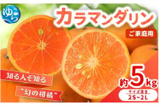 【来シーズン 先行予約】≪家庭用≫カラマンダリン 約5kg ※2026年3月下旬～順次発送 農家直送 / くだもの  果実  柑橘 果物 フルーツ 国産 和歌山県 由良町 からまんだりん カラ 人気 おすすめ 和歌山 甘い おれんじ ご家庭用 訳あり 規格外【nktn029】