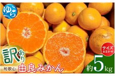 和歌山由良みかん 約５kg　訳あり　キズ　御家庭用　サイズ混合 ※2025年11月下旬～2026年1月中旬頃に順次発送予定【sml914】