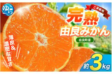 【先行予約】薄皮で濃い甘さ！完熟由良みかん【ご家庭用】3kg（混サイズ）和歌山県由良産※2025年11月下旬頃から順次発送予定(お届け日指定不可) / 柑橘 ミカン 蜜柑 甘い 由良町 フルーツ 果物 くだもの 食品 人気 おすすめ 産地直送 由良町【ktym001】