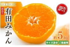 紀州有田みかん 約５kg　訳あり　キズ　御家庭用　サイズ混合 【sml130A】 ※2025年11月下旬～2026年1月中旬頃順次発送予定