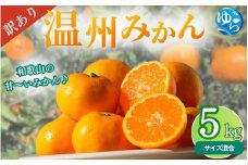 【先行予約】＼訳あり／ 温州みかん 5kg 【2025年11月下旬～順次発送予定】/ みかん ミカン 和歌山県 柑橘 早生 甘い 蜜柑 フルーツ 果物 くだもの 食品  産地直送 由良町 ご家庭用 温州 訳ありみかん 【myvi006】