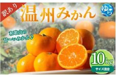 【先行予約】＼訳あり／ 温州みかん 10kg 【2025年11月下旬～順次発送予定】/ みかん ミカン 和歌山県 柑橘 早生 甘い 蜜柑 フルーツ 果物 くだもの 食品  産地直送 由良町 ご家庭用 温州 訳ありみかん 【myvi007】