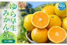 【先行予約】秀品 ゆら早生みかん 5kg 【2025年10月初旬～順次発送予定】/ みかん ミカン 和歌山県 柑橘 早生 甘い 蜜柑 フルーツ 果物 くだもの 食品  産地直送 由良町 ゆら早生 早生みかん 【myvi003】