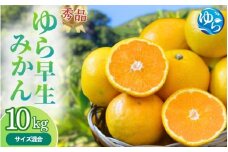 【先行予約】秀品 ゆら早生みかん 10kg 【2025年10月初旬～順次発送予定】/ みかん ミカン 和歌山県 柑橘 早生 甘い 蜜柑 フルーツ 果物 くだもの 食品  産地直送 由良町 ゆら早生 早生みかん 【myvi004】
