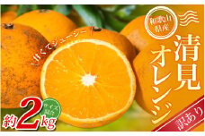 【訳あり】 森本農園の手選別 清見オレンジ 約2kg 和歌山県産 サイズ混合 ※2026年2月上旬～5月中旬頃順次発送 / 清見 きよみ オレンジ 柑橘 期間限定 由良町 果物 フルーツ 和歌山県【mrmt023A】