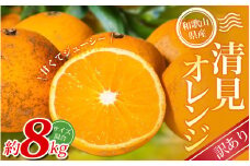 【訳あり】 森本農園の手選別 清見オレンジ 約8kg 和歌山県産 サイズ混合 ※2026年2月上旬～5月中旬頃順次発送 / 清見 きよみ オレンジ 柑橘 期間限定 由良町 果物 フルーツ 和歌山県【mrmt049】