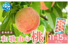 【先行予約】和歌山県産の桃 （11～15玉入り）【2025年6月中旬頃から8月上旬頃順次発送予定】 / もも モモ 桃 ギフト 贈り物 プレゼント 夏ギフト 果物 フルーツ 人気 産地直送 和歌山県 お取り寄せ【mat100B】
