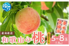 【先行予約】和歌山県産の桃 (5～8玉入り)【2025年6月中旬頃から8月上旬頃発送予定】 / もも モモ 桃 ギフト 贈り物 プレゼント 夏ギフト 果物 フルーツ 人気 産地直送 和歌山県 お取り寄せ【mat101B】