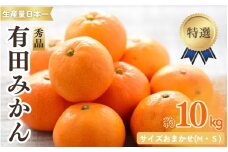 特選紀州有田みかん　秀品　約１０kgサイズおまかせ(М・Ｓ)  ※2025年12月上旬～下旬頃発送予定（お届け日指定不可）【sml915】