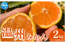 【先行予約】秀品 温州みかん2kg サイズおまかせ（S～L） / 数量限定 ミカン 蜜柑 温州ミカン 柑橘 フルーツ くだもの 産地直送 由良町 和歌山【kjen001】