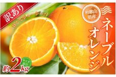 【訳あり】 森本農園の手選別 ネーブルオレンジ 約2kg 和歌山県産 サイズ混合 【2026年1月上旬～2月中旬頃に順次発送】【mrmt018】