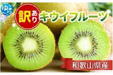 ＜11月より発送＞家庭用 キウイフルーツ1kg+250g（傷み補償分）【わけあり・訳あり・扁平果】/ 和歌山 おすすめ キウイフルーツ 果物 フルーツ きうい キウイ ふるーつ 【ikd037D】