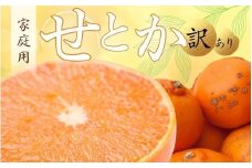 ＜2月より発送＞家庭用 せとか 10kg+250g（傷み補償分）【柑橘・春みかんの王様】【わけあり・訳あり】【光センサー選果・食べ頃出荷】【2026年2月中旬より発送】/ みかん くだもの 果物 フルーツ 柑橘 和歌山【ikd238】