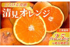 ＜2026年2月より発送＞家庭用 清見オレンジ 2.5kg+250g（傷み保証分）【光センサー食頃出荷】【樹上完熟きよみオレンジ・清見タンゴール・清美】【わけあり・訳あり】 / オレンジ 清見 おれんじ みかん 柑橘 有田 産地直送  くだもの 果物 フルーツ 柑橘類 和歌山 由良町【ikd199B】