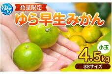 【先行予約】和歌山県産 ゆら早生みかん 4.5kg【小玉 3Sサイズ】※2025年10月中旬頃より順次発送予定 / みかん 小玉サイズ 甘い 蜜柑 フルーツ 果物 くだもの 食品 人気 晩柑 おすすめ 送料無料 産地直送 和歌山 由良町【kzmn020】