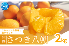 【来シーズン先行予約】完熟さつき八朔 2kg【2026年3月下旬頃から発送予定】 / はっさく ハッサク 柑橘 由良町 果物 フルーツ くだもの 産地直送 和歌山【kzmn022】