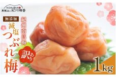 梅干し 無農薬 無添加 の 訳あり 減塩 つぶれ梅 1kg（500×2） 塩分3％  紀州梅香 / 紀州南高梅 ワケあり つぶれ つぶれ梅 梅干し うめぼし 南高梅 はちみつ梅 はちみつ漬け 減塩 塩分控えめ 小分け 家庭用 ご家庭用 普段使い おにぎり お弁当 和歌山県 紀州 【baiko002】