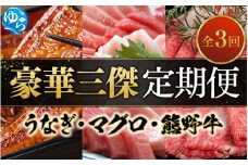 ＼新登場／ 豪華三傑 定期便！ 全3回 うなぎ 高級和牛（熊野牛） マグロ　人気返礼品を3回お届け♪♪ /  本まぐろ まぐろ うなぎ 鰻 肉 牛肉 和牛 人気 冷凍 定期便 ３回【tkb104】