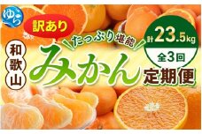 ＼たっぷり23.5kg！／【3か月定期便】訳ありみかんの定期便 / 温州みかん 不知火 清見オレンジ 定期便 果物 柑橘 由良町 フルーツ くだもの 産地直送 ミカン 和歌山【tkb113】