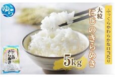【令和7年度産 新米】 にじのきらめき 5kg ※お届け日指定不可※ / 白米 お米 由良町 精米 和歌山 2025年度 ごはん ご飯 米 こめ※2025年10月中旬～順次発送【jahd010】