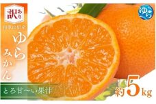 訳あり ゆら みかん 5kg / 温州みかん 和歌山 わけあり 甘い 柑橘 由良 ※2025年11月下旬～順次発送【fmlb089-12】