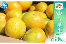 訳あり ゆら 早生 みかん 5kg / 温州みかん 和歌山 わけあり 甘い 柑橘 ※2025年10月中旬～順次発送【fmlb092】