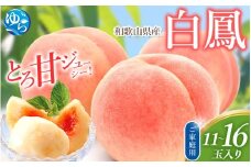 桃 訳あり 白鳳 和歌山県産 11～16玉入り※2026年6月下旬～発送 もも　桃 くだもの 甘い 特選 和歌山【mtgn046B】