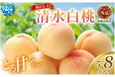 桃 和歌山県産 清水白桃 5～8玉入り 秀品※2026年7月中旬～発送 もも　桃 くだもの 甘い 特選 和歌山【mtgn065A】