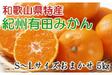 [厳選]紀州有田みかん約5kg（S～Lサイズおまかせ）
