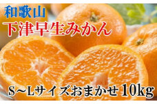 【産直】下津早生みかん約10kg(S～Lサイズおまかせ)
