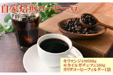 自家焙煎コーヒー豆（キリマンジャロ・モカイルガチェフェ）各300gとカリタ102コーヒーフイルター100枚セット【TM67】