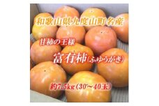 ■[11月中旬より順次発送]和歌山県九度山町産　富有柿 約7.5kg（30～40玉）